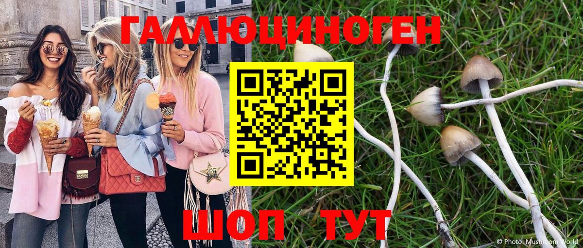 МЕФ Санкт-Петербург