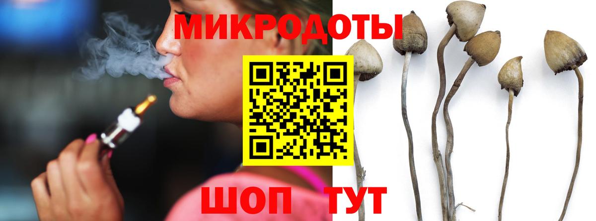 Галлюциногенные грибы MAGIC MUSHROOMS  Вход с VPN  Санкт-Петербург  Псилоцибиновые грибы Cubensis 
